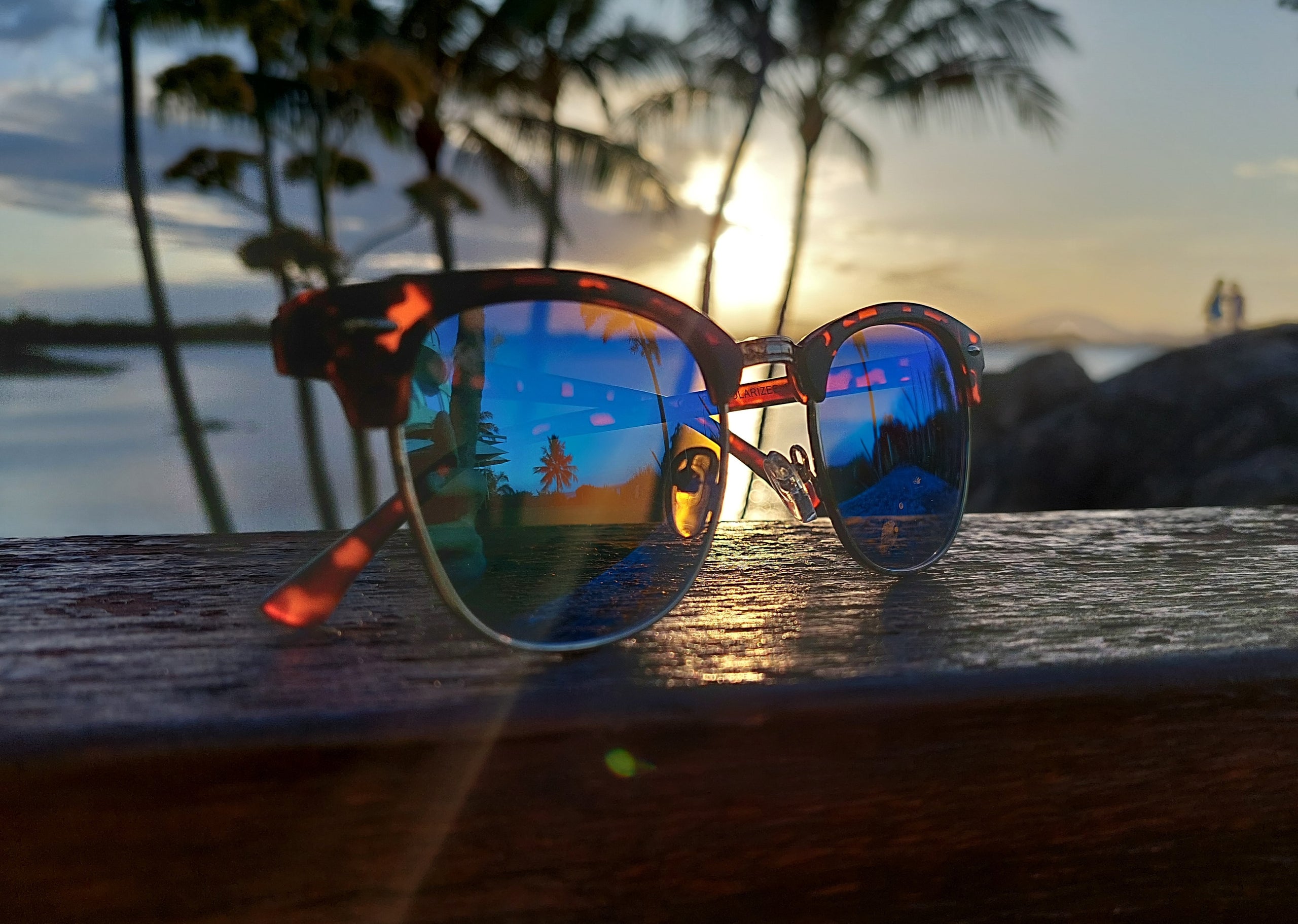 Ocean best sale polarised sunglasses
