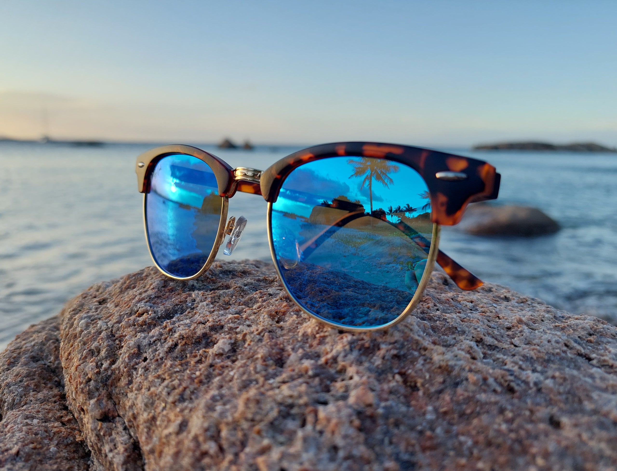 Ocean polarised sunglasses online